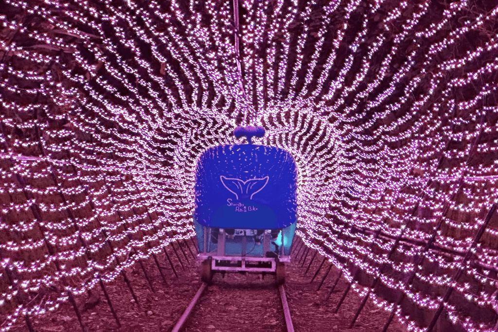暑假限定!深澳鐵道自行車「燦爛夏夜山海騎」登場     夜晚燈飾點亮無敵海景