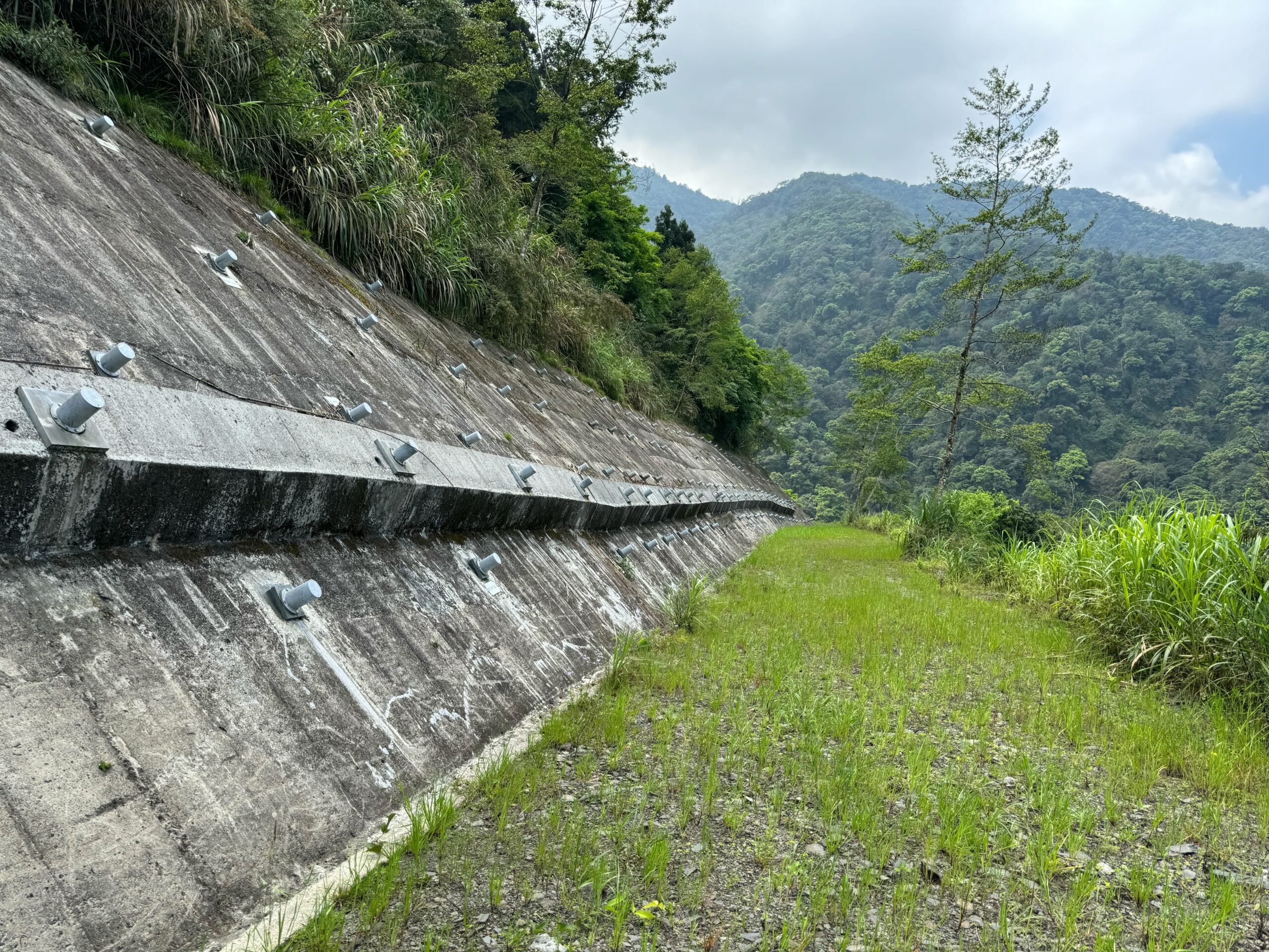 林業保育署首獲金質獎  「宜專一線中間地滑區」獲「優等獎」殊榮