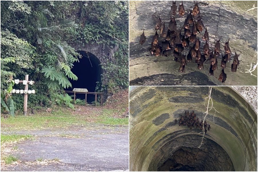 串聯舊太平山林鐵隧道遺跡　樂水部落小旅行新賣點