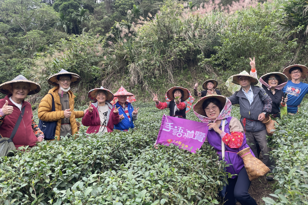 新北坪林茶博館推「手語導覽一日遊」     帶領聾人朋友體驗茶園採製