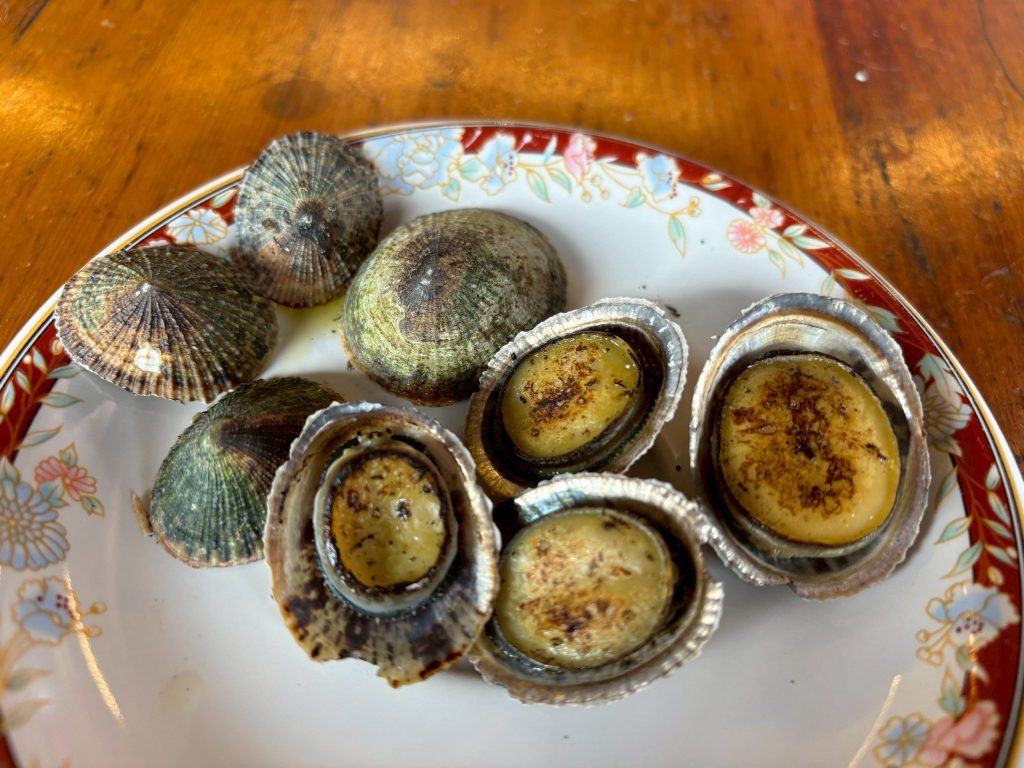 品嚐潮間風味 東北角「海鋼盔」海味正當時