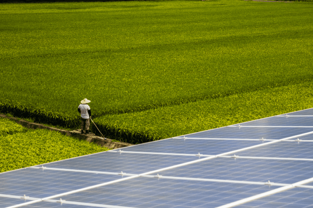 睿禾以「生態綠洲」亮相智慧能源週 打造人與自然共生的永續城市