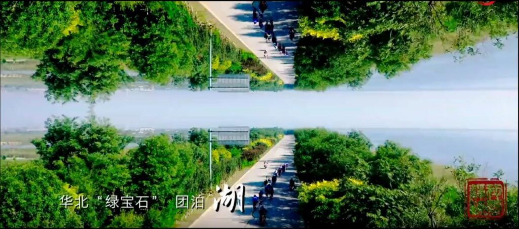 HI 靜海!　一個值得您細細探索的瑰寶之地